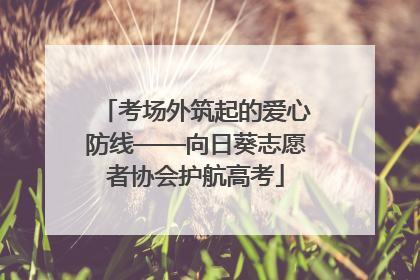 考场外筑起的爱心防线——向日葵志愿者协会护航高考