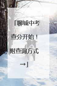 聊城中考查分开始！附查询方式→