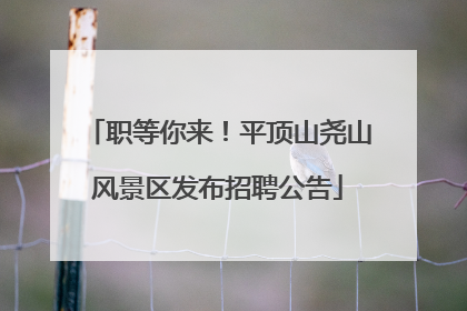 职等你来！平顶山尧山风景区发布招聘公告