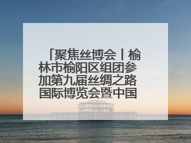 聚焦丝博会丨榆林市榆阳区组团参加第九届丝绸之路国际博览会暨中国东西部合作与投资贸易洽谈会