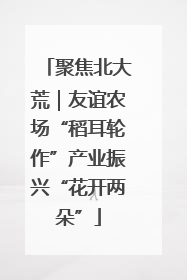 聚焦北大荒｜友谊农场“稻耳轮作”产业振兴“花开两朵”