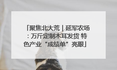 聚焦北大荒｜延军农场：万斤定制木耳发货 特色产业“成绩单”亮眼