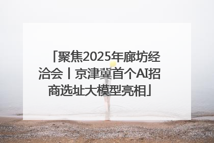 聚焦2025年廊坊经洽会丨京津冀首个AI招商选址大模型亮相