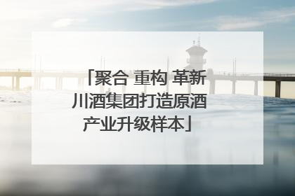 聚合 重构 革新 川酒集团打造原酒产业升级样本