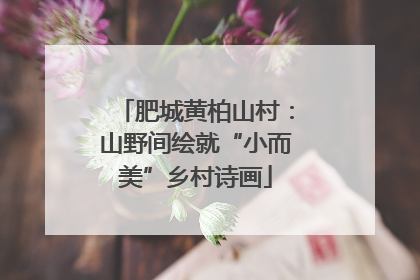 肥城黄柏山村：山野间绘就“小而美”乡村诗画