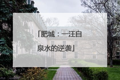 肥城：一汪自泉水的逆袭