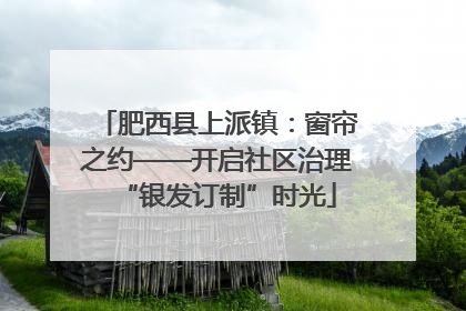 肥西县上派镇：窗帘之约——开启社区治理“银发订制”时光