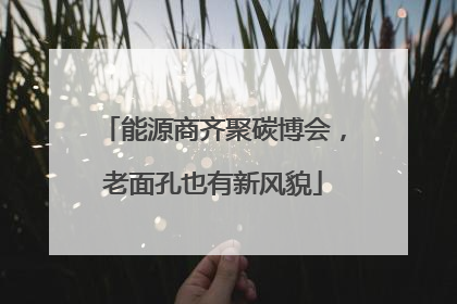 能源商齐聚碳博会，老面孔也有新风貌