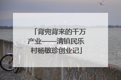 背兜背来的千万产业——清镇民乐村杨敏珍创业记