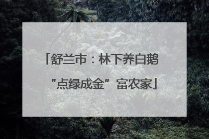 舒兰市：林下养白鹅 “点绿成金”富农家