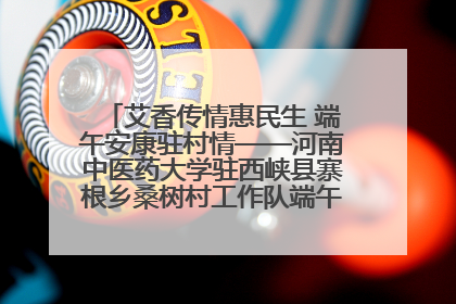 艾香传情惠民生 端午安康驻村情——河南中医药大学驻西峡县寨根乡桑树村工作队端午中医惠民记