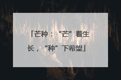 芒种：“芒”着生长，“种”下希望