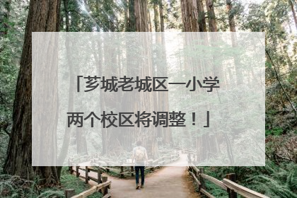 芗城老城区一小学两个校区将调整！