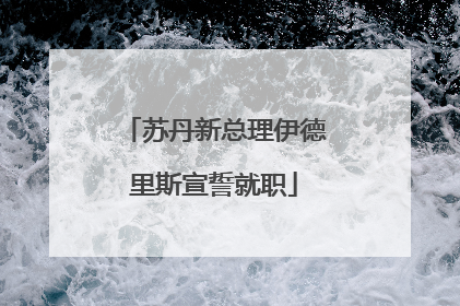 苏丹新总理伊德里斯宣誓就职