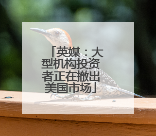 英媒：大型机构投资者正在撤出美国市场