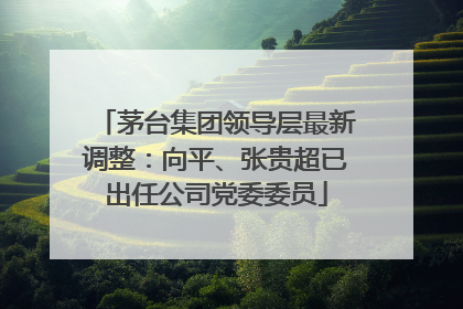 茅台集团领导层最新调整：向平、张贵超已出任公司党委委员