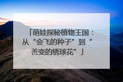 萌娃探秘植物王国：从“会飞的种子”到“善变的绣球花”