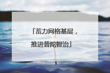 蓄力网格基层，推进普陀智治