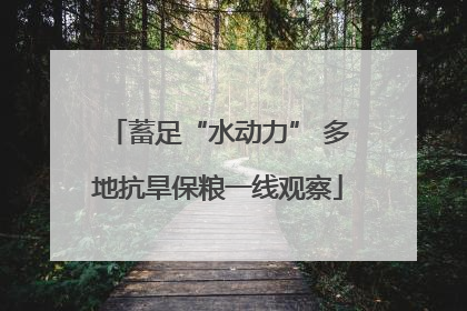 蓄足“水动力” 多地抗旱保粮一线观察