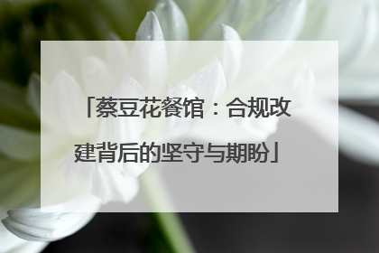 蔡豆花餐馆：合规改建背后的坚守与期盼