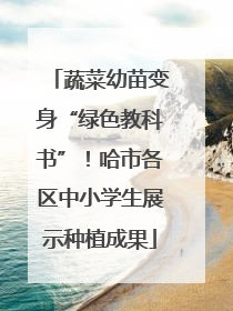 蔬菜幼苗变身“绿色教科书”！哈市各区中小学生展示种植成果