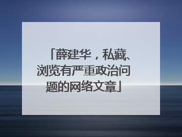 薛建华，私藏、浏览有严重政治问题的网络文章