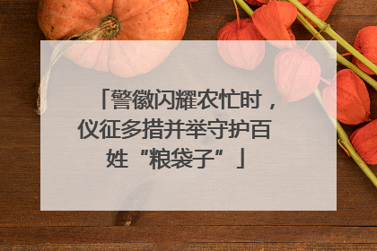 警徽闪耀农忙时，仪征多措并举守护百姓“粮袋子”
