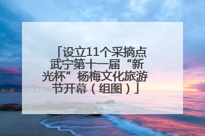 设立11个采摘点 武宁第十一届“新光杯”杨梅文化旅游节开幕（组图）