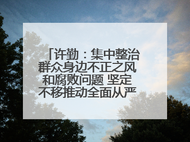 许勤：集中整治群众身边不正之风和腐败问题 坚定不移推动全面从严治党向基层延伸