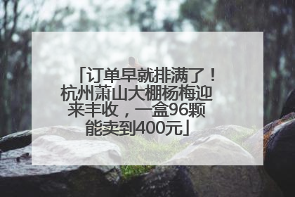 订单早就排满了！杭州萧山大棚杨梅迎来丰收，一盒96颗能卖到400元