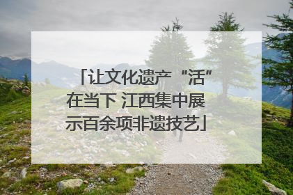 让文化遗产“活”在当下 江西集中展示百余项非遗技艺