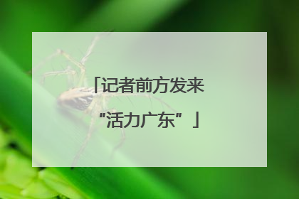 记者前方发来“活力广东”