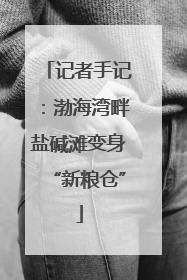 记者手记：渤海湾畔盐碱滩变身“新粮仓”