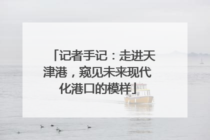 记者手记：走进天津港，窥见未来现代化港口的模样