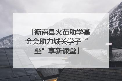 衡南县火苗助学基金会助力城关学子“坐”享新课堂
