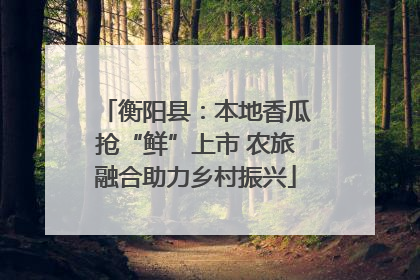 衡阳县：本地香瓜抢“鲜”上市 农旅融合助力乡村振兴