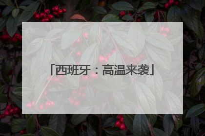 西班牙：高温来袭