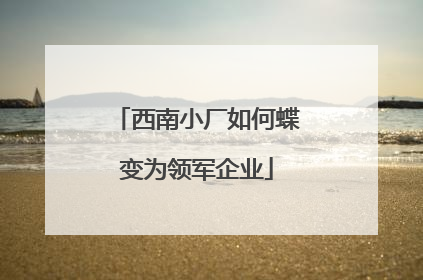 西南小厂如何蝶变为领军企业