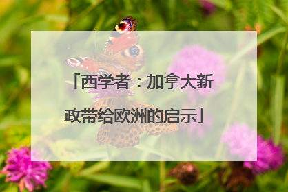 西学者：加拿大新政带给欧洲的启示