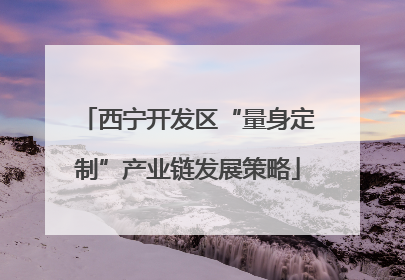 西宁开发区“量身定制”产业链发展策略