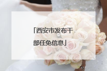 西安市发布干部任免信息