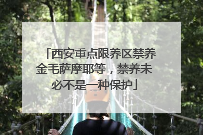 西安重点限养区禁养金毛萨摩耶等，禁养未必不是一种保护