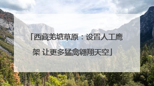 西藏羌塘草原：设置人工鹰架 让更多猛禽翱翔天空