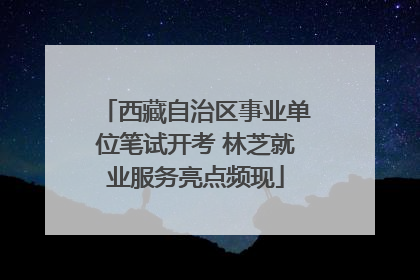 西藏自治区事业单位笔试开考 林芝就业服务亮点频现