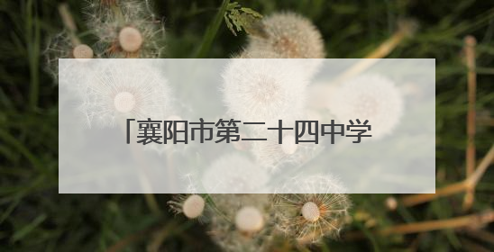 襄阳市第二十四中学开展心理健康月活动