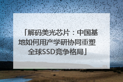解码美光芯片：中国基地如何用产学研协同重塑全球SSD竞争格局
