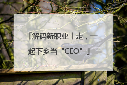 解码新职业丨走，一起下乡当“CEO”