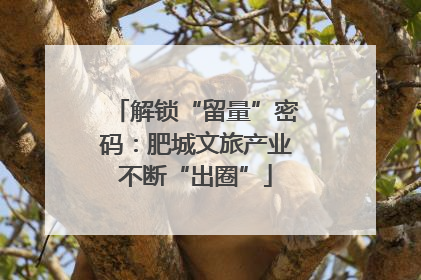 解锁“留量”密码：肥城文旅产业不断“出圈”