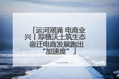 运河潮涌 电商业兴丨厚植沃土筑生态 宿迁电商发展跑出“加速度”
