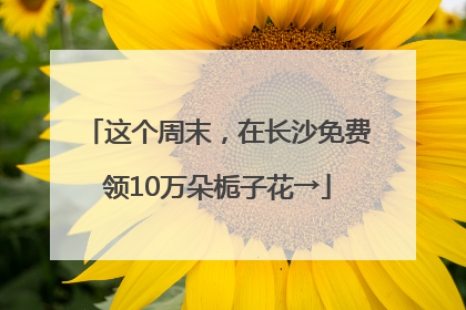 这个周末，在长沙免费领10万朵栀子花→